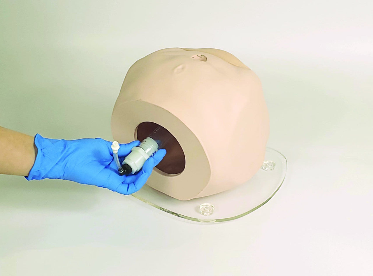 Male and Female Catheterisation Simulator