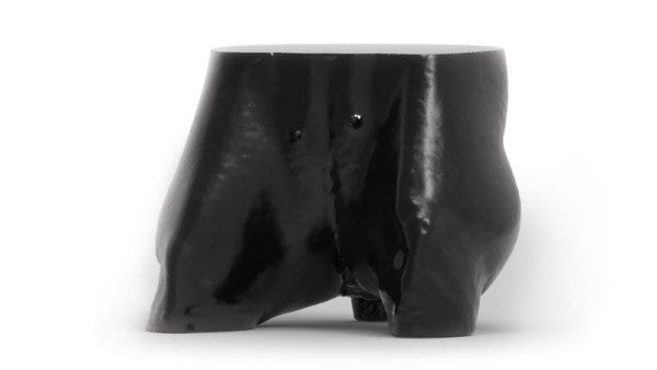 Dog Phantom Models for CT and X-Ray