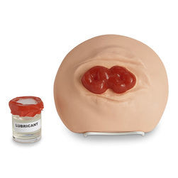 Ostomy Care Training Models