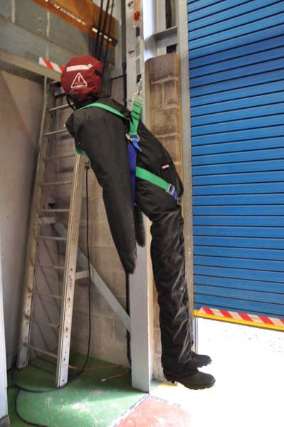 Rigid trunk reduces slumping when using harnesses.