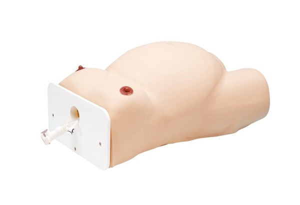 External Cephalic Version Model