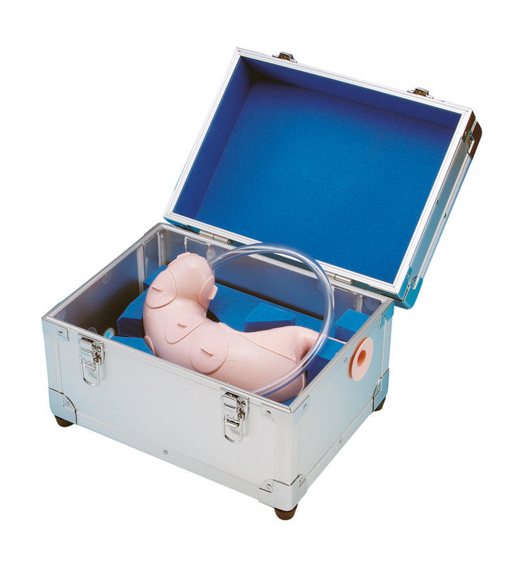Endoscopic Submucosal Dissection Training Model