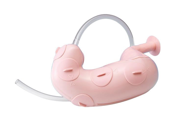 Endoscopic Submucosal Dissection Training Model