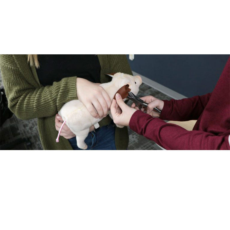 Swine Litter Processing Simulators Replacement Supply Pack