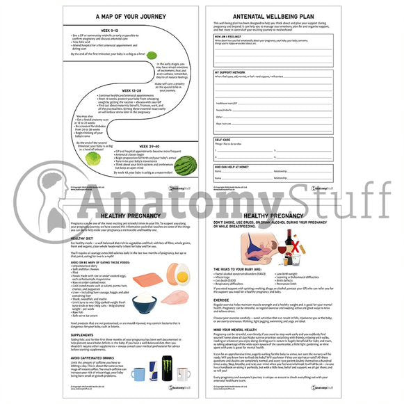 Antenatal Support Pack (Printable PDFs)