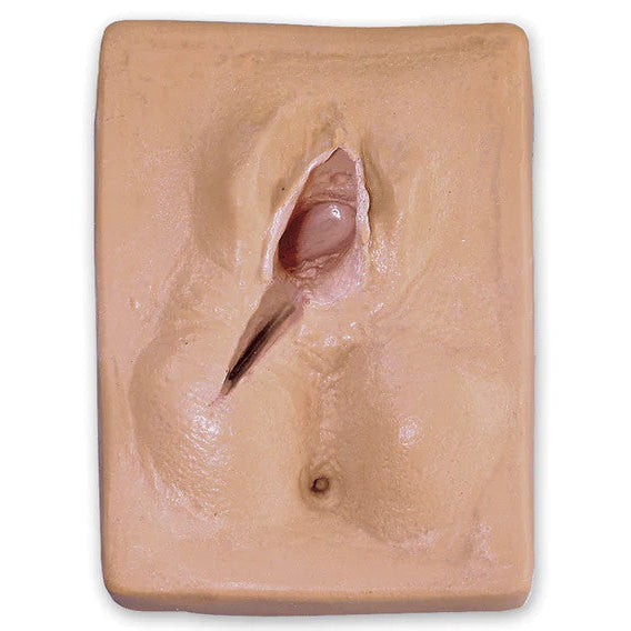 Episiotomy Suture Simulators