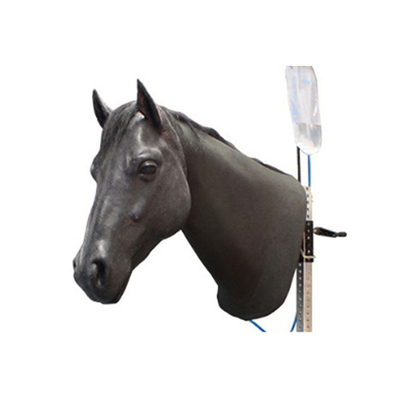 Equine Palpation Colic Simulator