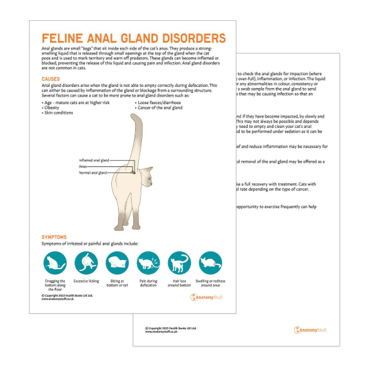 Feline Anal Gland Disorders Pet Owner Education Handout (Printable PDF)