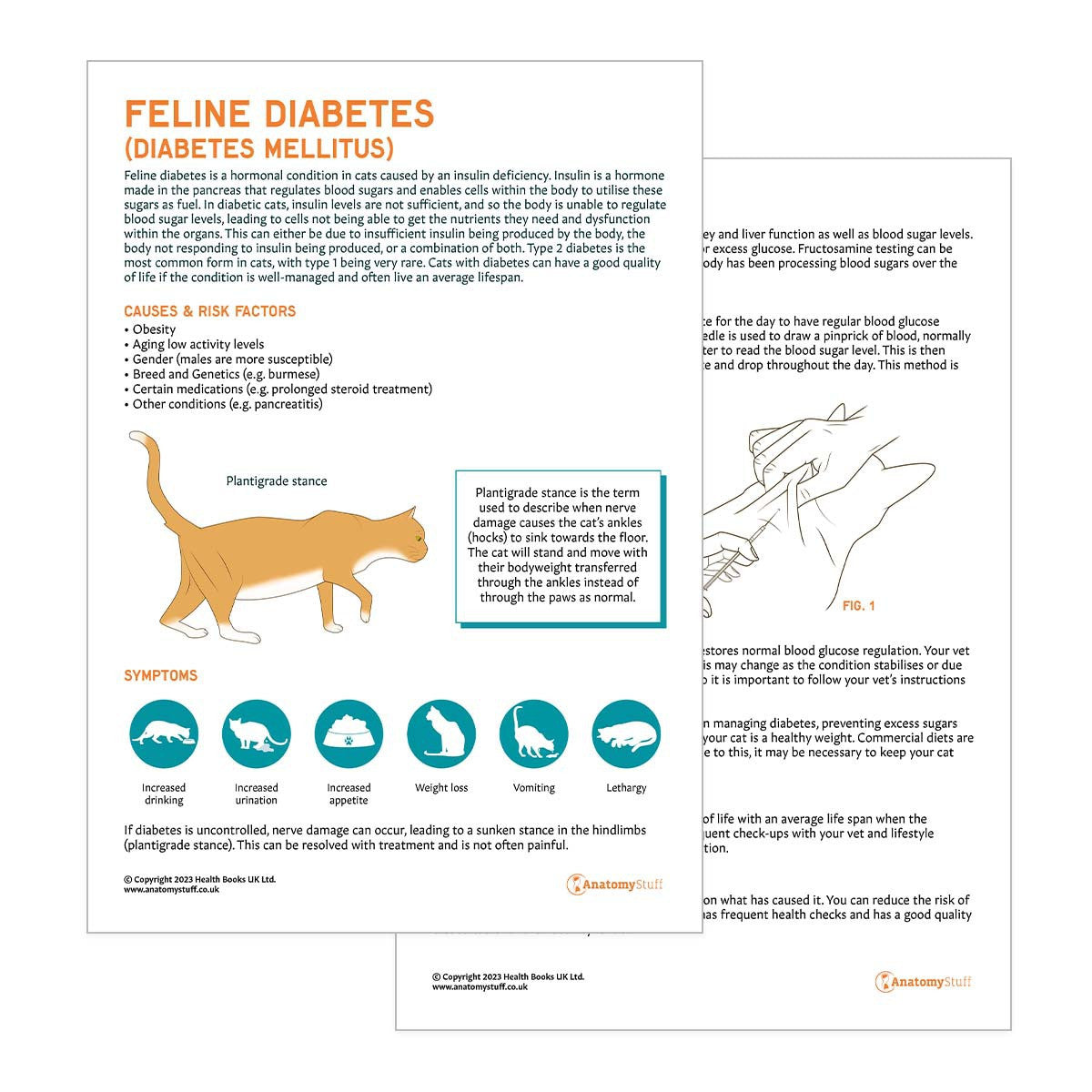 Feline Diabetes Pet Owner Education Handout (Printable PDF)