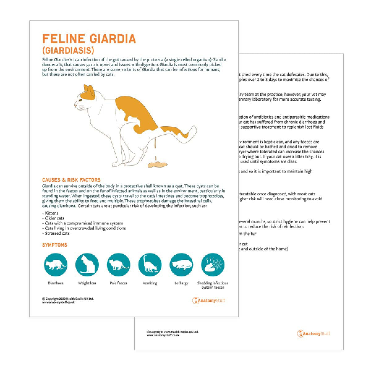 Feline Giardia Pet Owner Education Handout (Printable PDF)