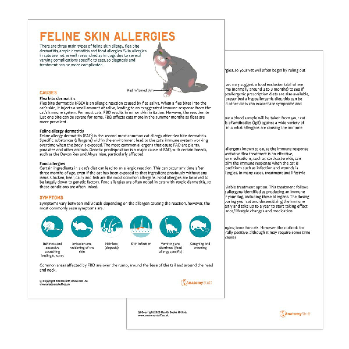Feline Skin Allergies Pet Owner Education Handout (Printable PDF)