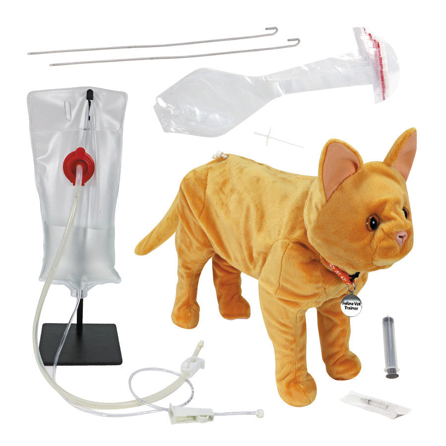 Feline Vet Trainer