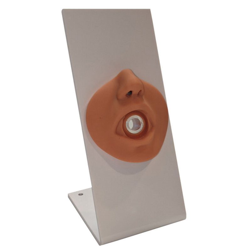 Portable Nursing Simulation Kit