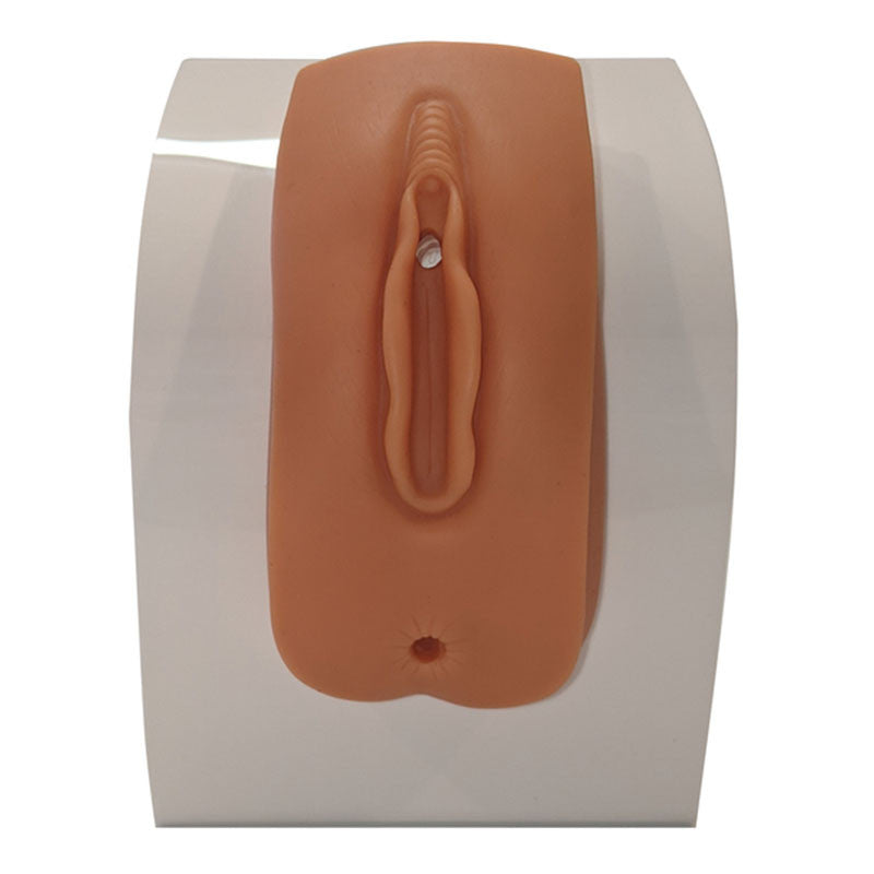 Female Catheterisation Training Model