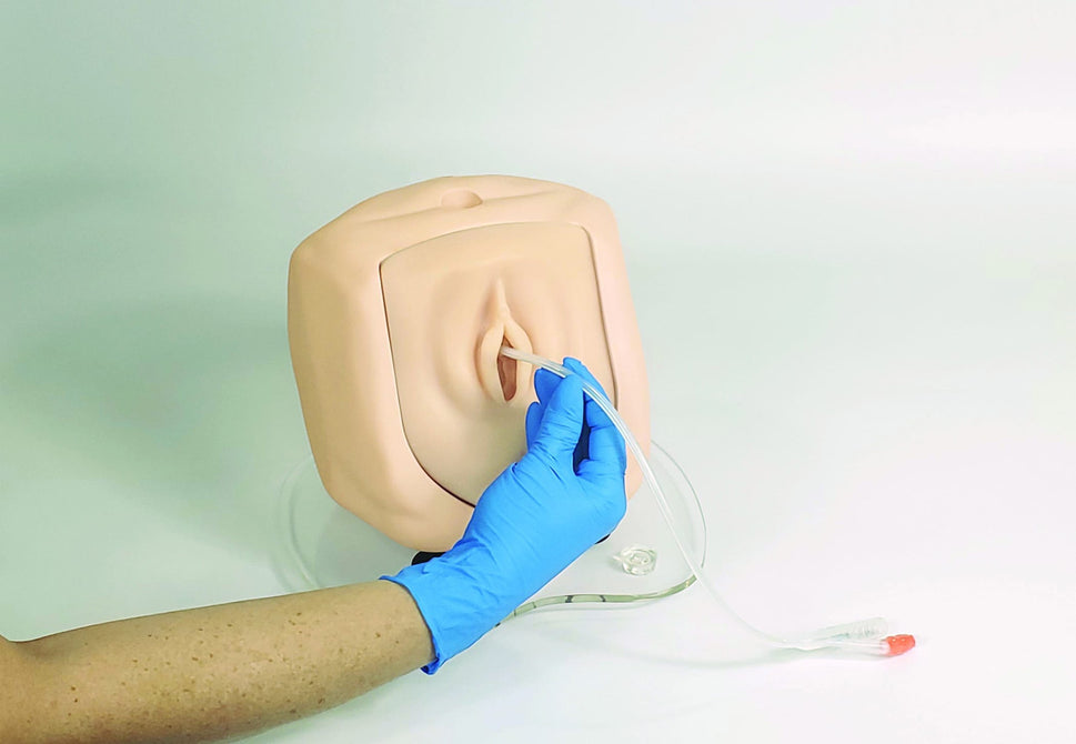 Male and Female Catheterisation Simulator