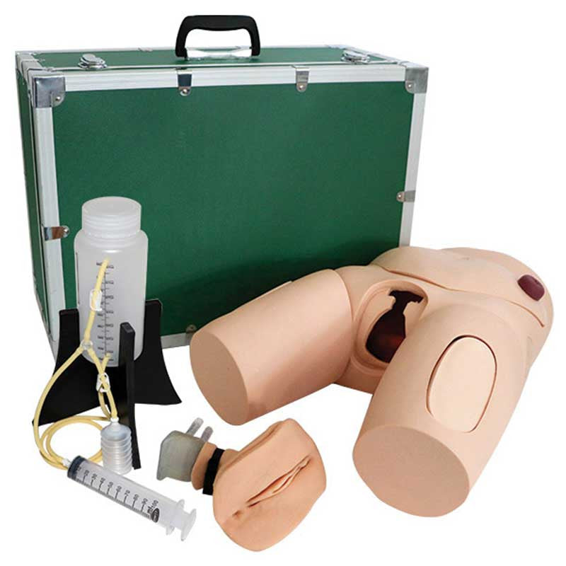 Vinyl Male / Female Catheterisation Simulator