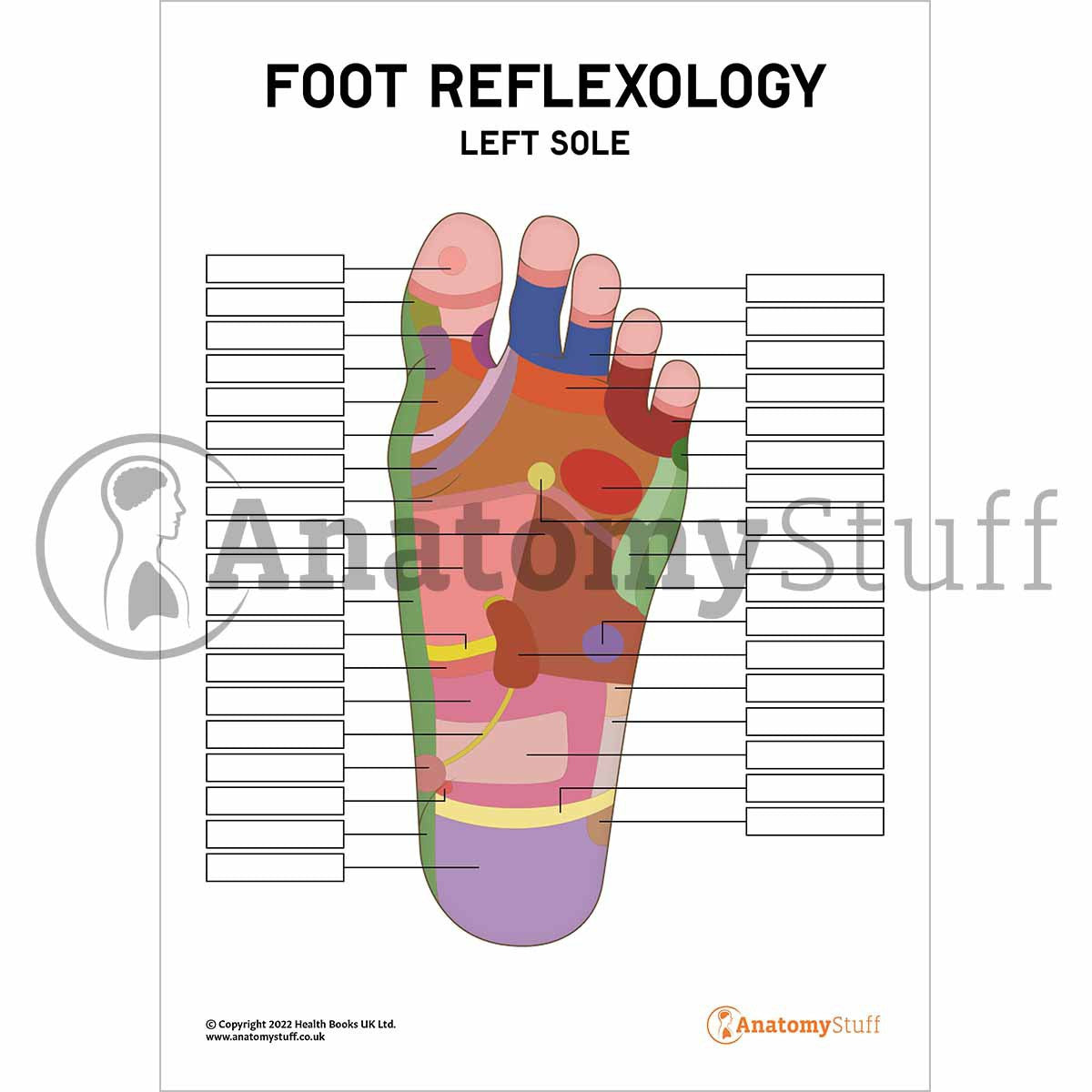 Foot Reflexology Poster / Worksheet (Interactive & Printable PDF)