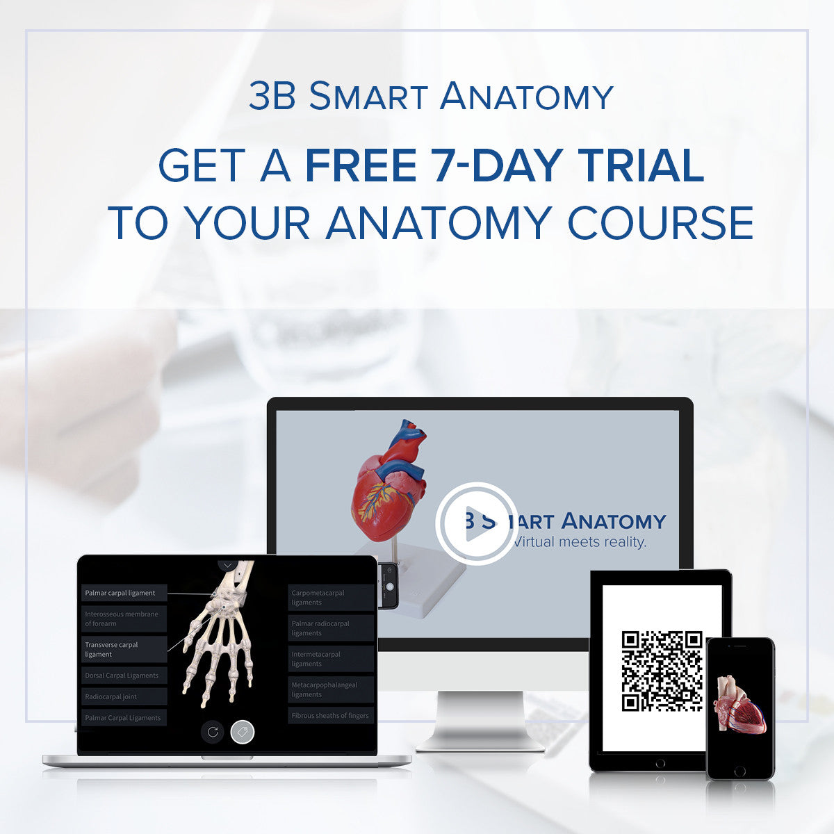 Free Anatomy Course