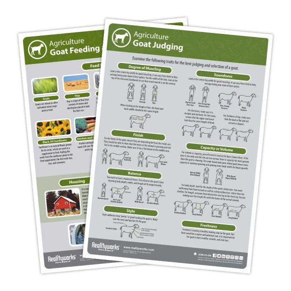 Agriculture Animal Education Kit - Goat