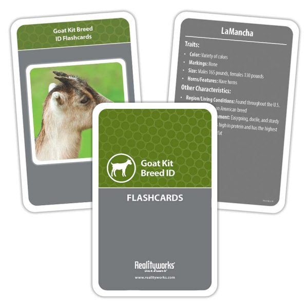 Agriculture Animal Education Kit - Goat