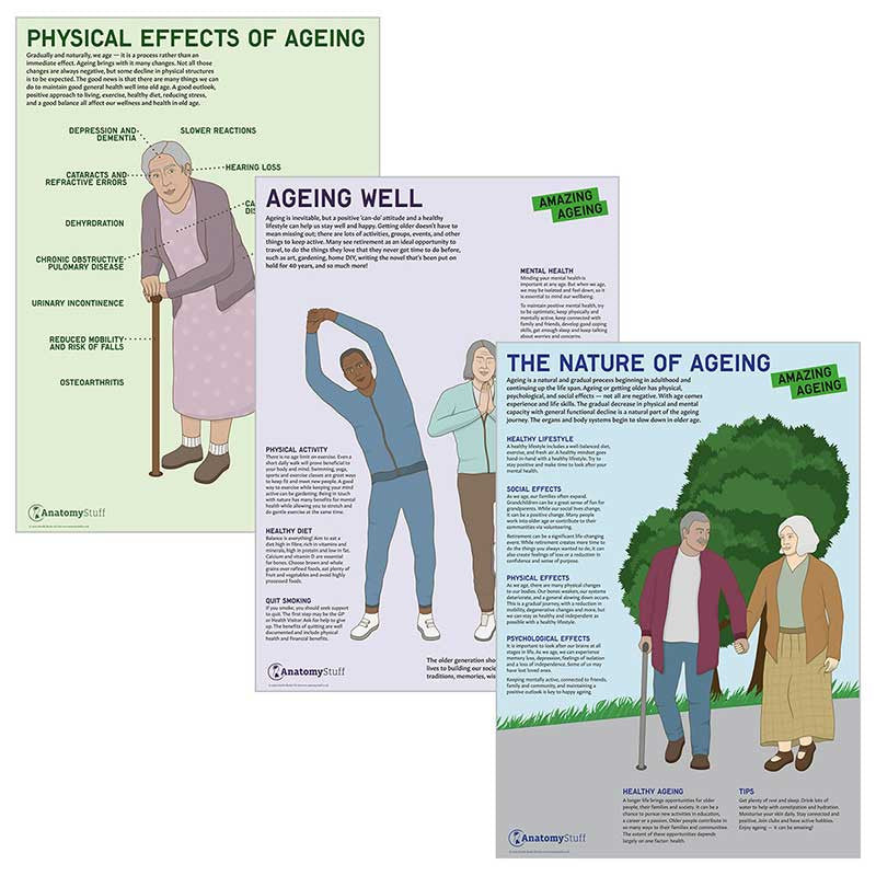 Geriatric / Elderly Care Poster Collection