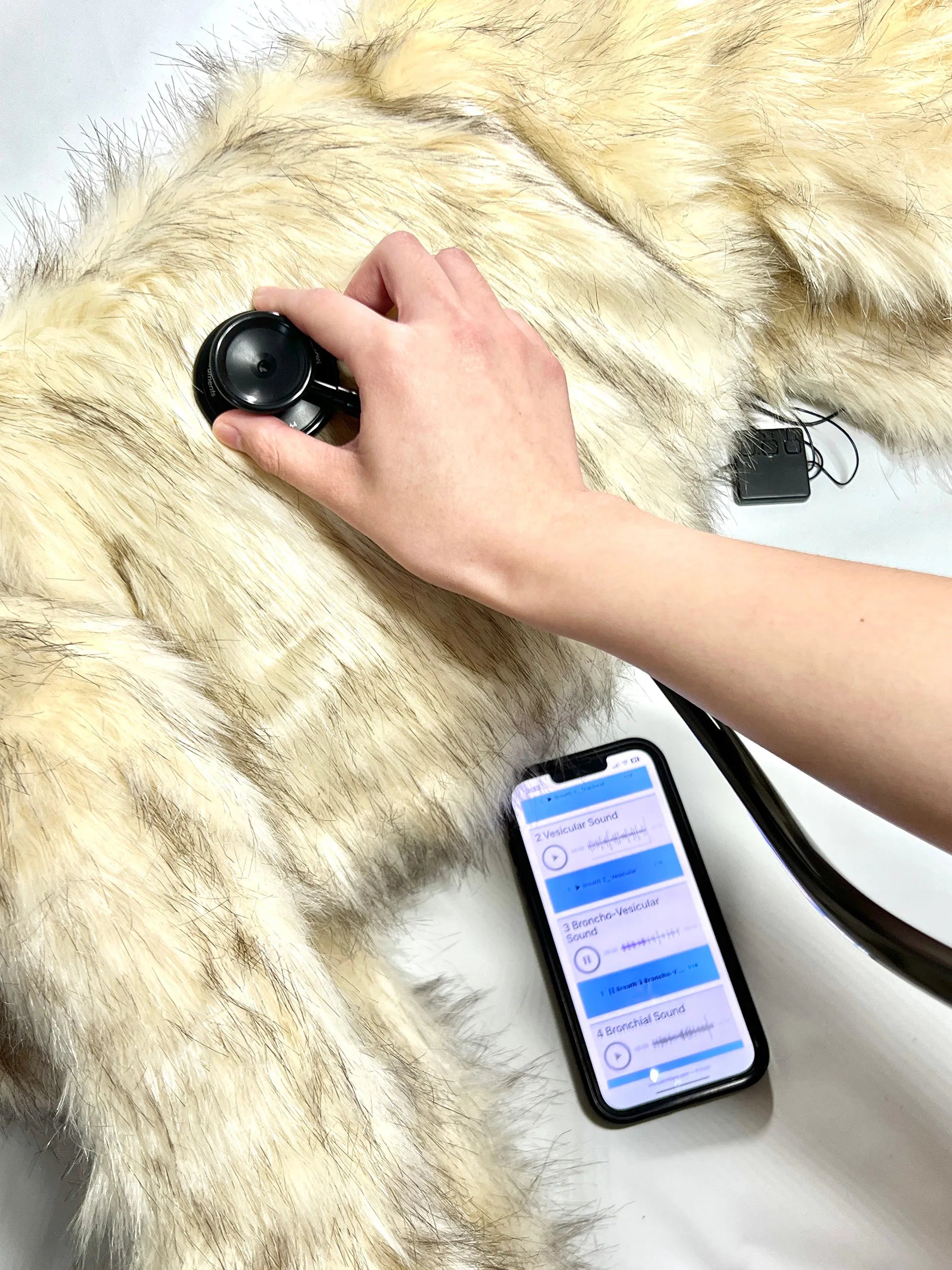 "Goldie K9" Canine Breath/Heart Sound Simulator