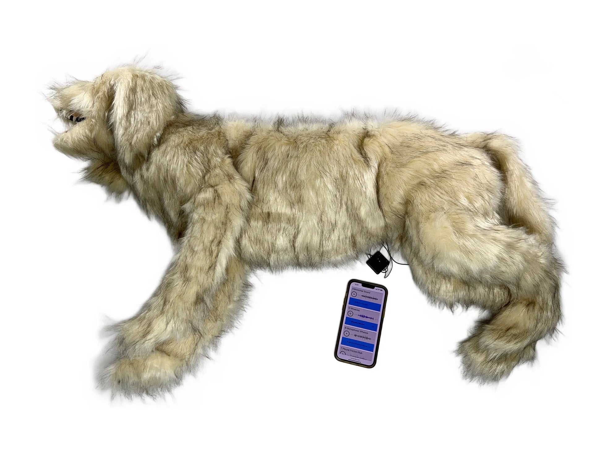 "Goldie K9" Canine Breath/Heart Sound Simulator