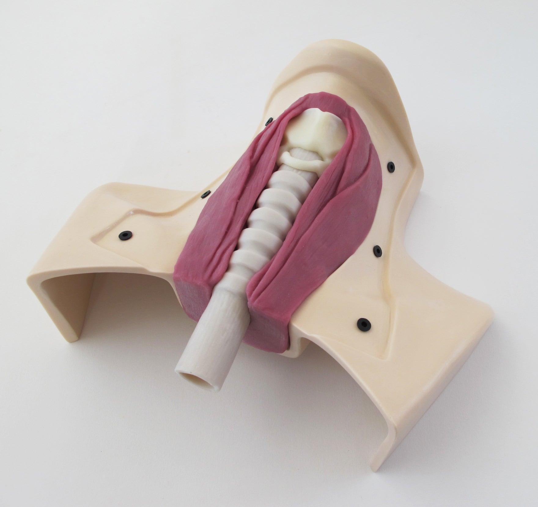 Tracheotomy Trainer