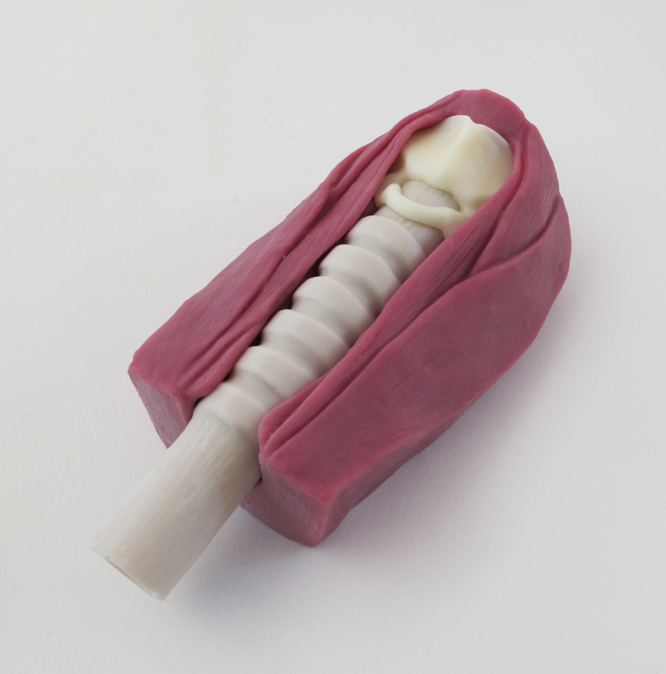 Tracheotomy Trainer