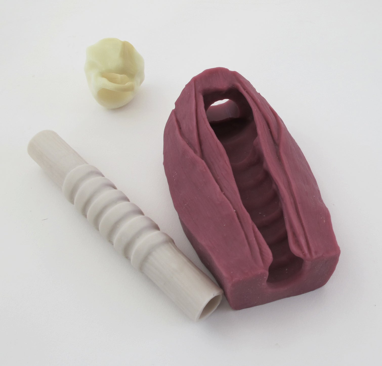 Tracheotomy Trainer