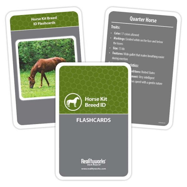 Agriculture Animal Education Kit - Horse