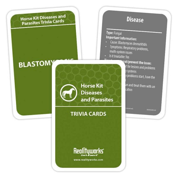 Agriculture Animal Education Kit - Horse