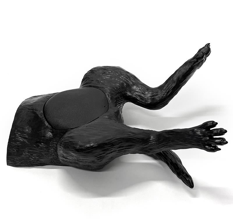 Canine Bladder Ultrasound Simulator