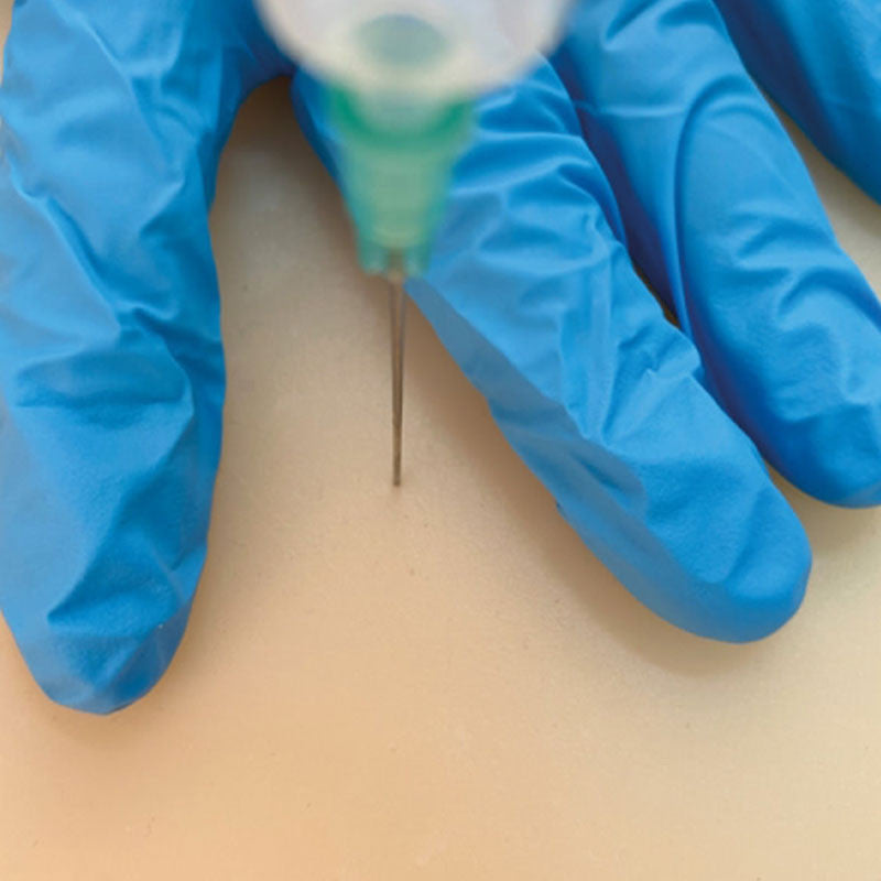 IM Puncture Trainer - Small Animal