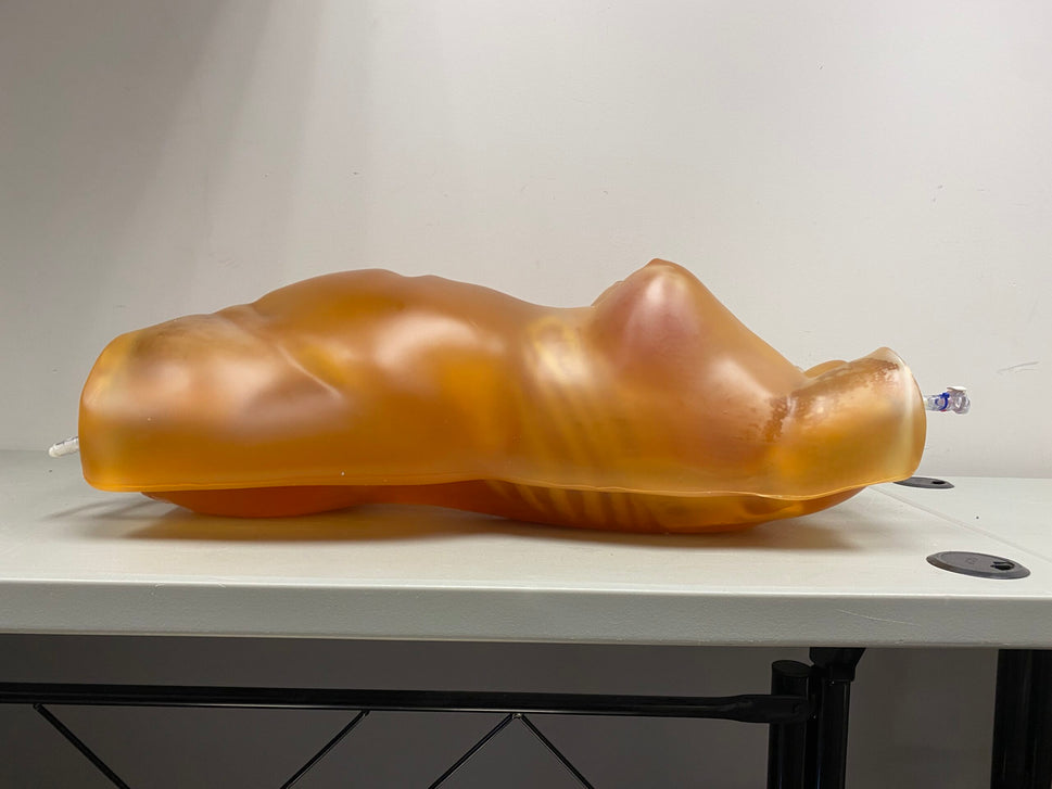 Adult Female Torso Phantom for X-Ray CT, MRI