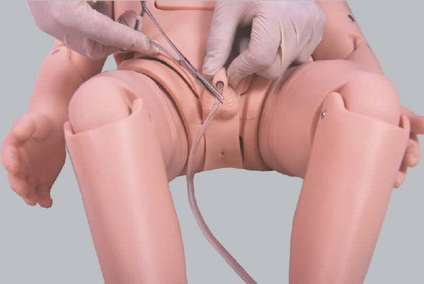 Infant Paediatric Urethral Catheterisation Simulation Trainer
