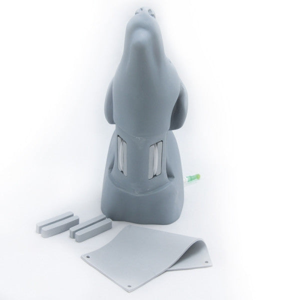 Canine Head Vascular Access Simulator