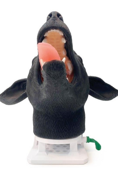 Canine Intubation Head Simulator