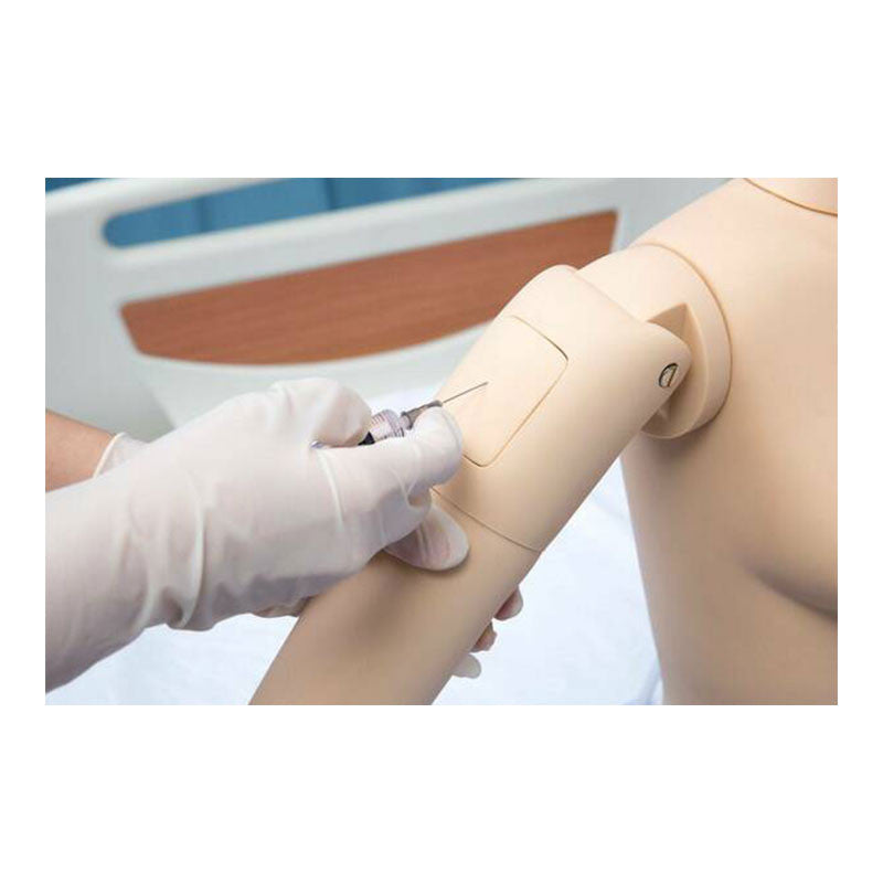 All-Purpose Patient Care Simulator