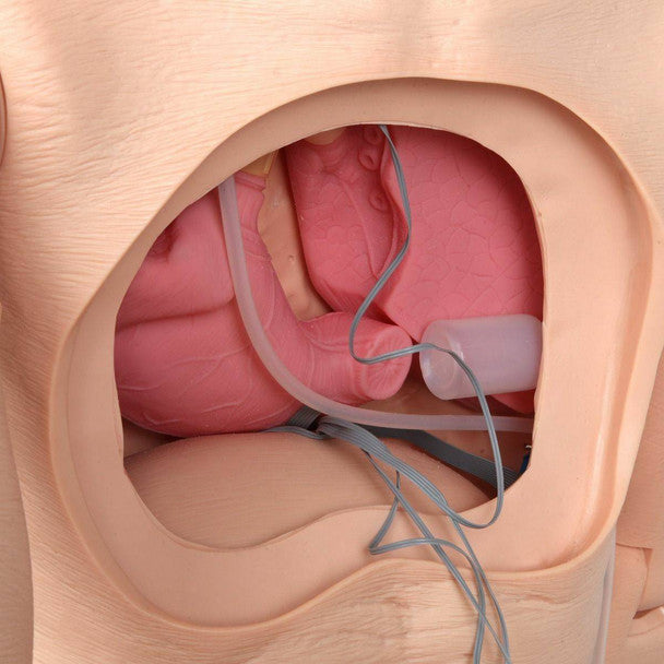 Advanced Full-body Geriatric Nursing Manikin