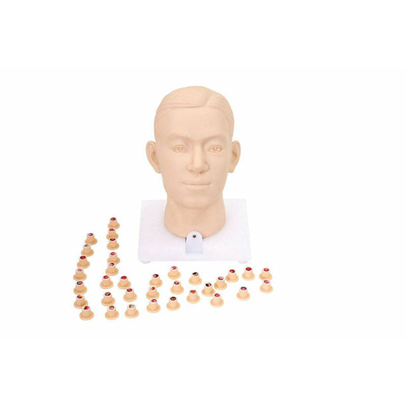 Intra-aural Examination Trainer (Binaural)