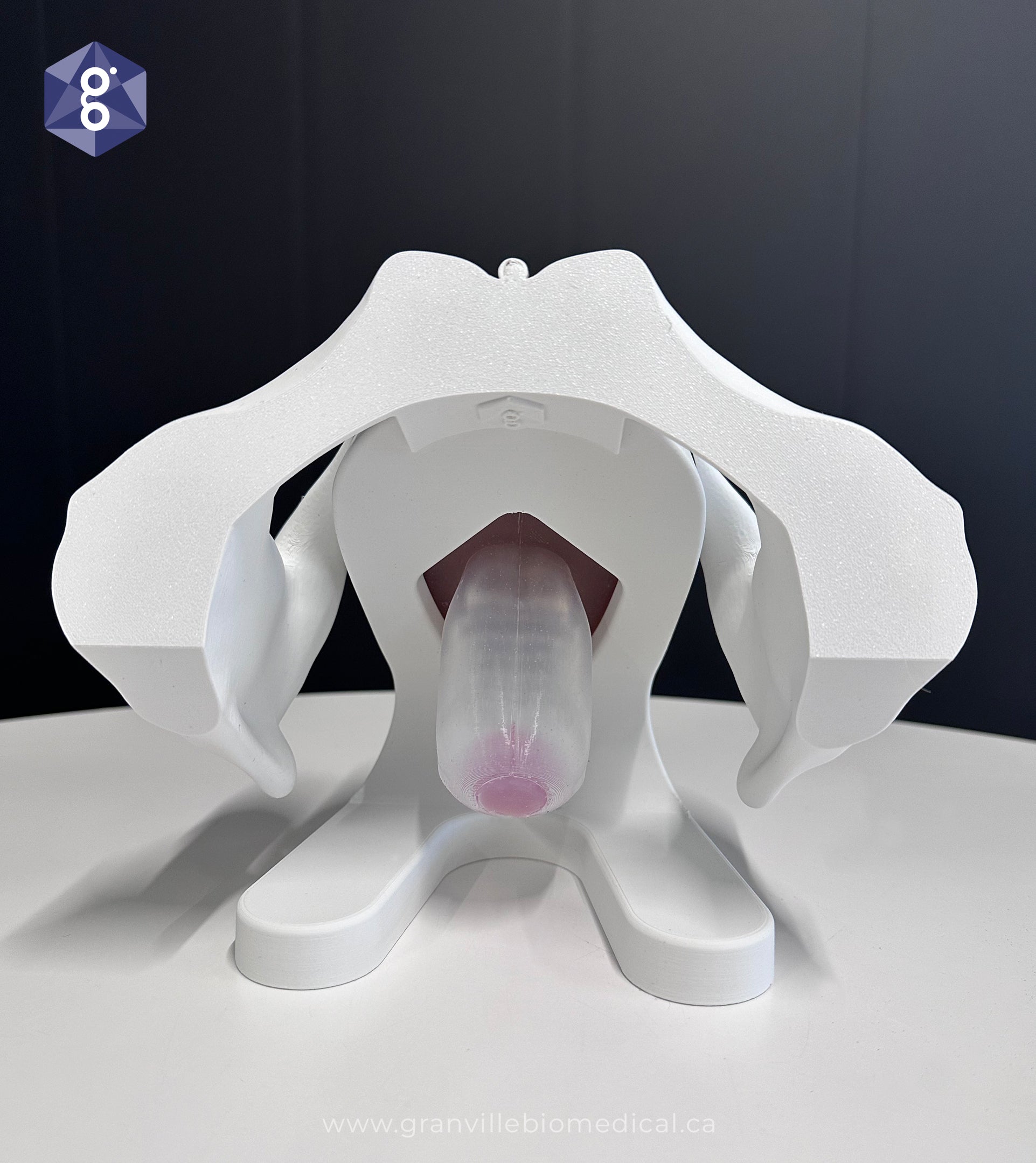 Iris Pessary and Device Demonstration Model