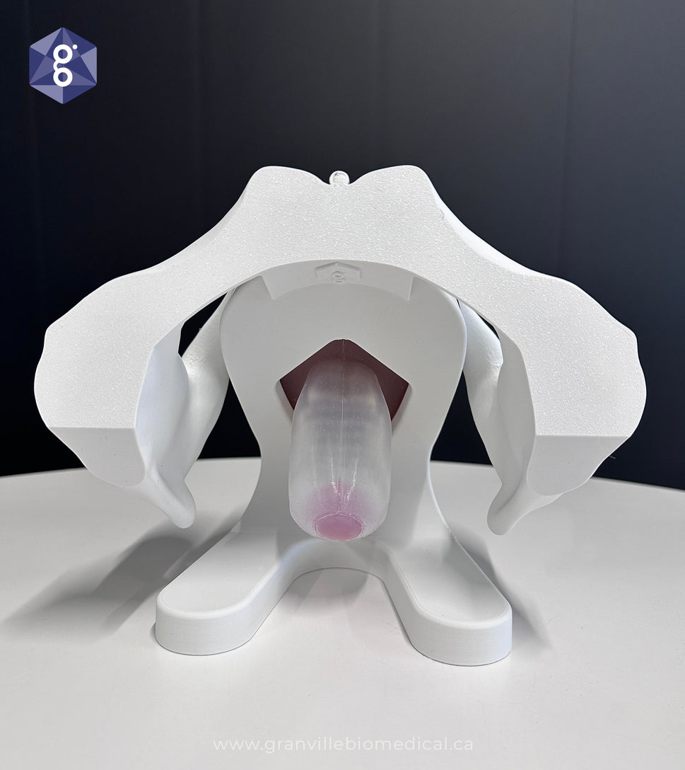 Iris Pessary and Device Demonstration Model