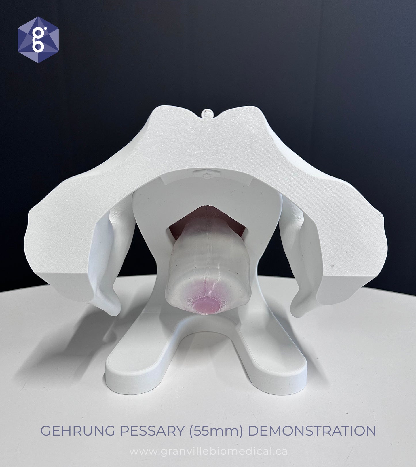 Iris Pessary and Device Demonstration Model
