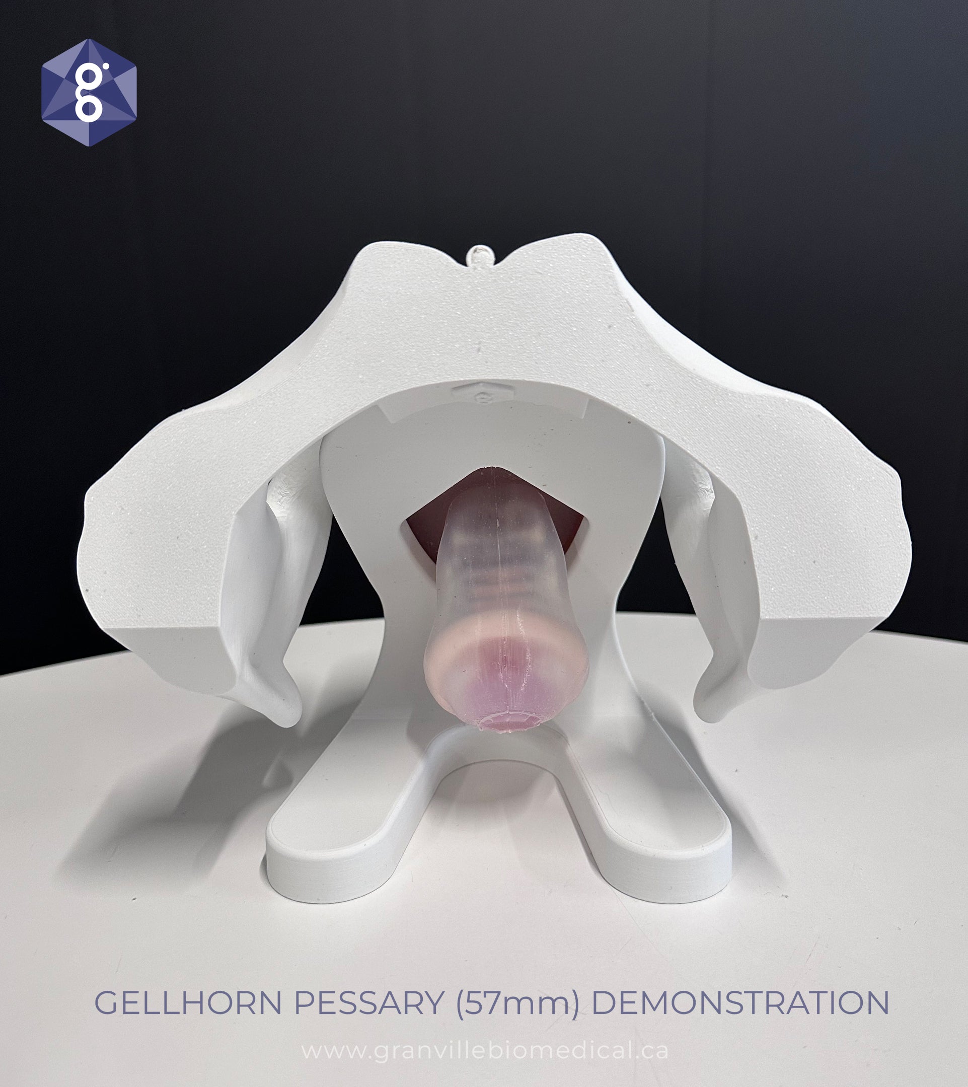 Iris Pessary and Device Demonstration Model