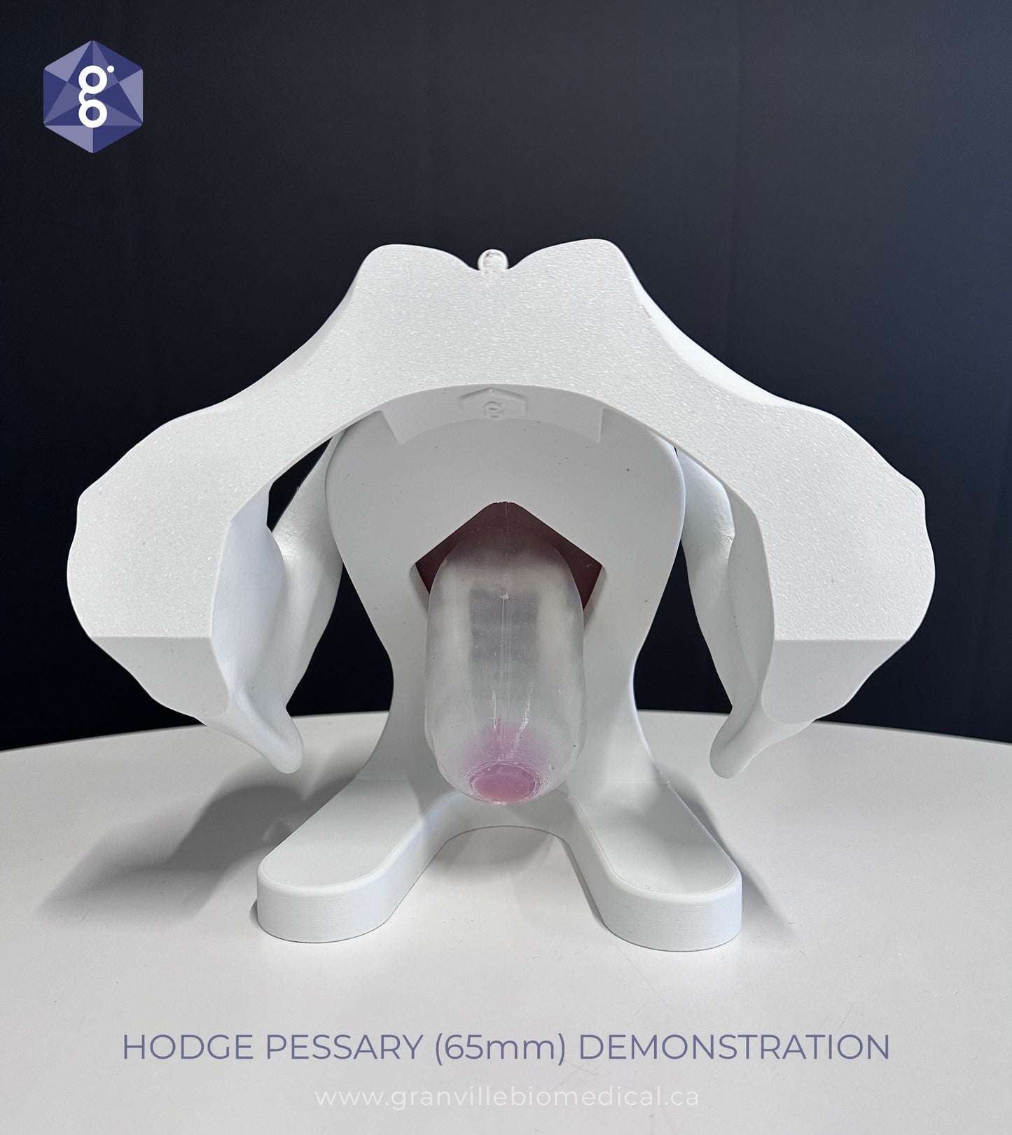 Iris Pessary and Device Demonstration Model