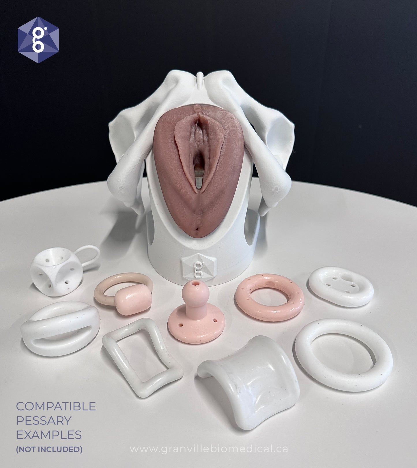 Iris Pessary and Device Demonstration Model