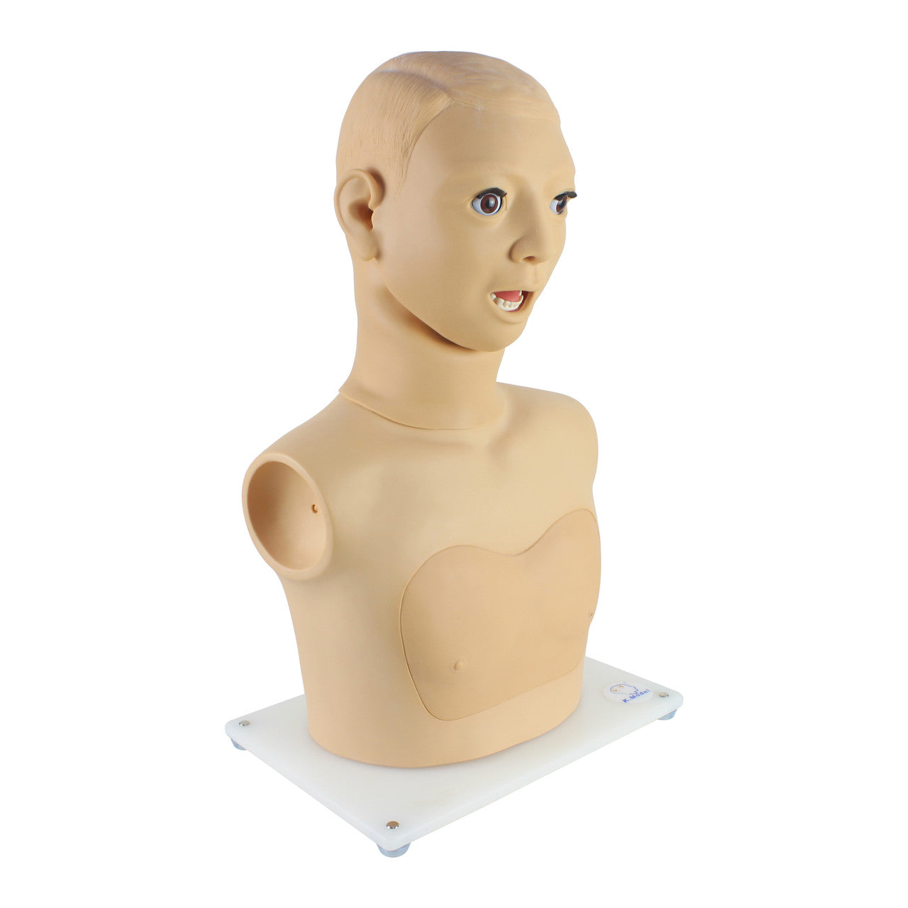 Vocal Cord Examination Model