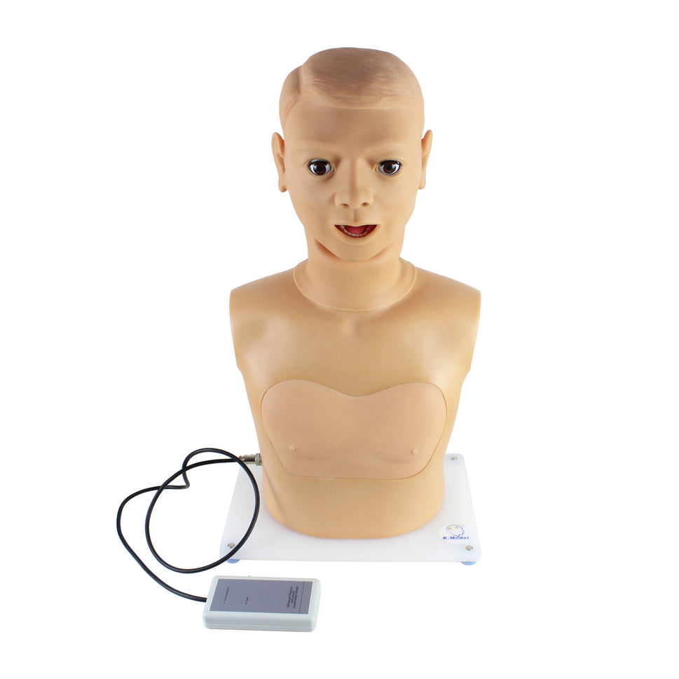 Pharynx and Larynx Examination Model