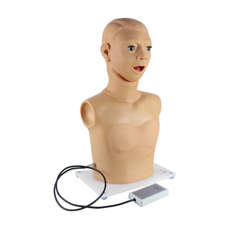 Pharynx and Larynx Examination Model